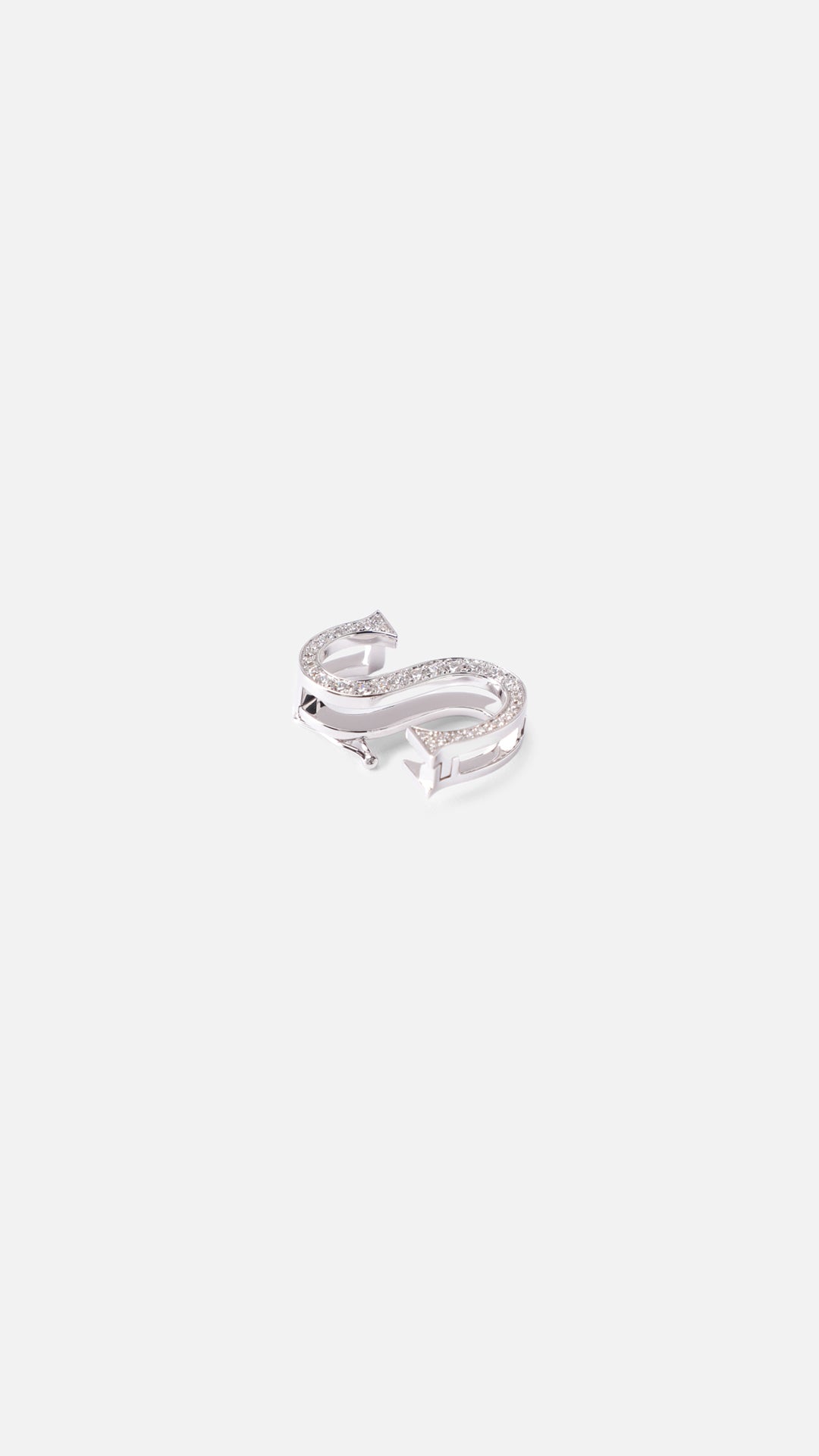 Silver Charm S